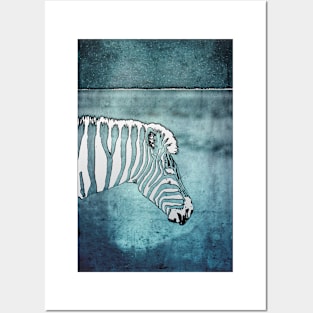 White Zebra Posters and Art